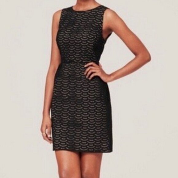 LOFT sleeveless black eyelet cotton midi dress sz 10P - Picture 1 of 14